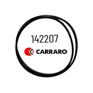 Уплотнительное кольцо 142207 Carraro