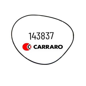 Уплотнительное кольцо 143837 Carraro