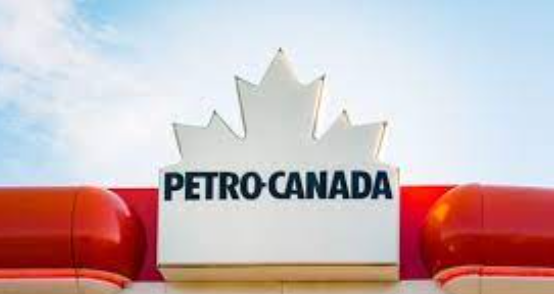 Моторное масло Petro-Canada DURON 10W (DUR1DRX) 205L (250-руб за 1-литр)